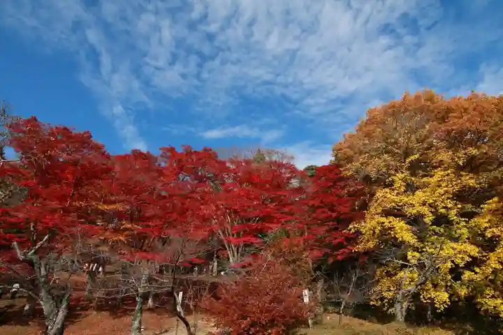 土津神社|こどもと出世の神さまの自然