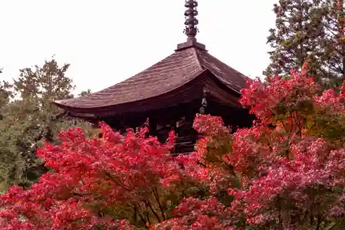 新海三社神社(長野県)