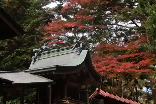 三春大神宮の本殿