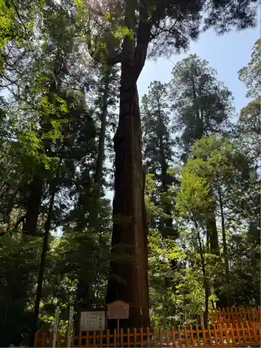 高千穂神社(宮崎県)