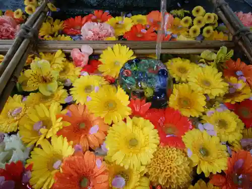 豊平神社の手水