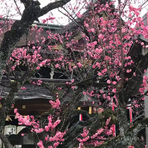 北野天満宮の自然