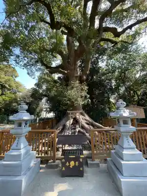 和泉國一之宮　大鳥大社(大阪府)