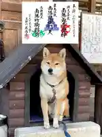 感通寺(東京都)