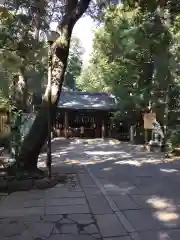 駒木諏訪神社の建物その他