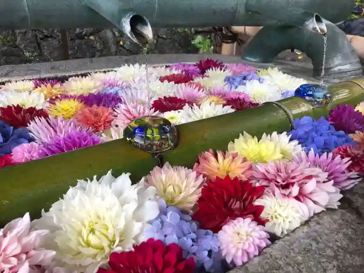 岡寺(龍蓋寺)の手水舎