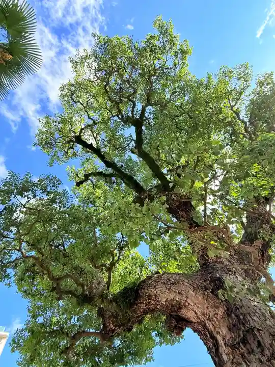 八宮神社(兵庫県)