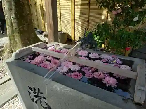 蛇窪神社(東京都)