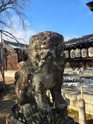 縣神社(京都府)