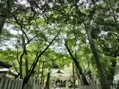 保久良神社(兵庫県)