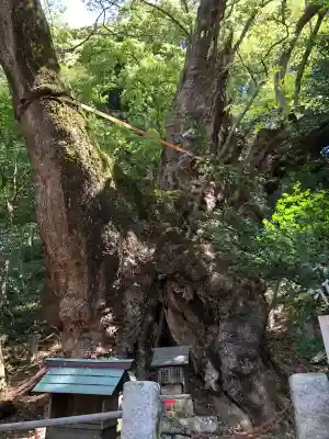 葛見神社(静岡県)