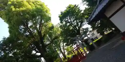 倉掛神社(京都府)