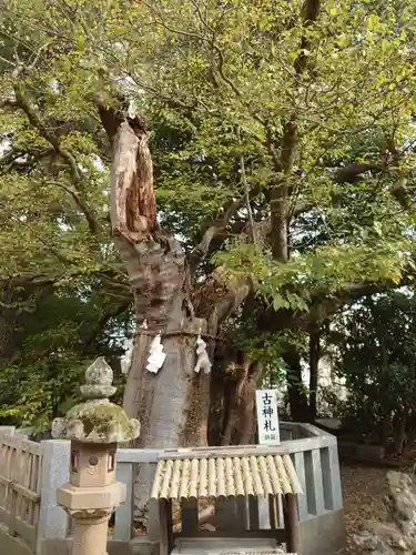 賣布神社の自然
