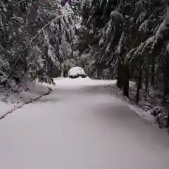 深山 飯盛寺の自然