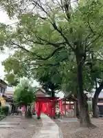 於菊稲荷神社(群馬県)