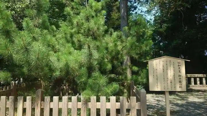 伊豆山神社(静岡県)