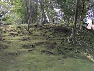 城南宮(京都府)