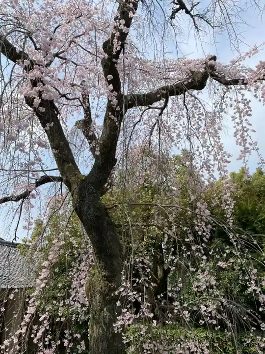 報恩院(京都府)