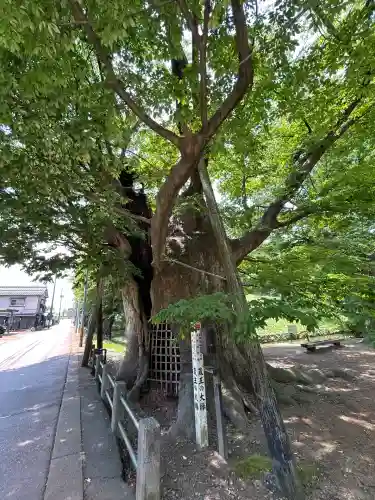 金峯神社(新潟県)