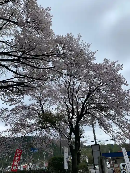 宮原八幡宮の自然