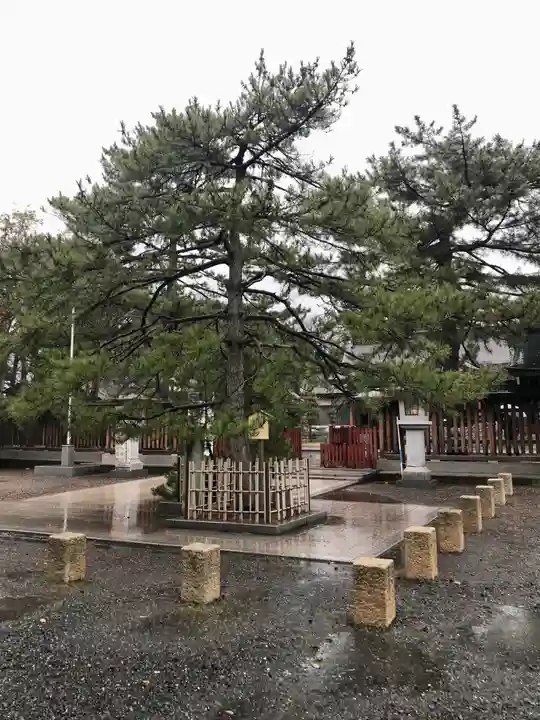 氣比神宮(福井県)