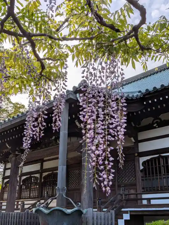 愛染院(東京都)