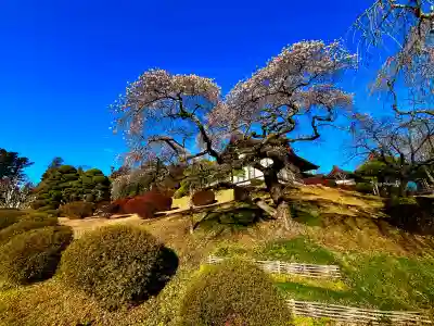 志波彦神社・鹽竈神社(宮城県)