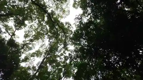 賀茂御祖神社（下鴨神社）(京都府)