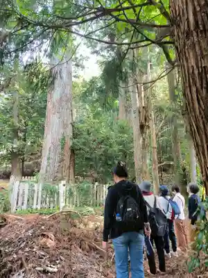 天鷹神社(岐阜県)