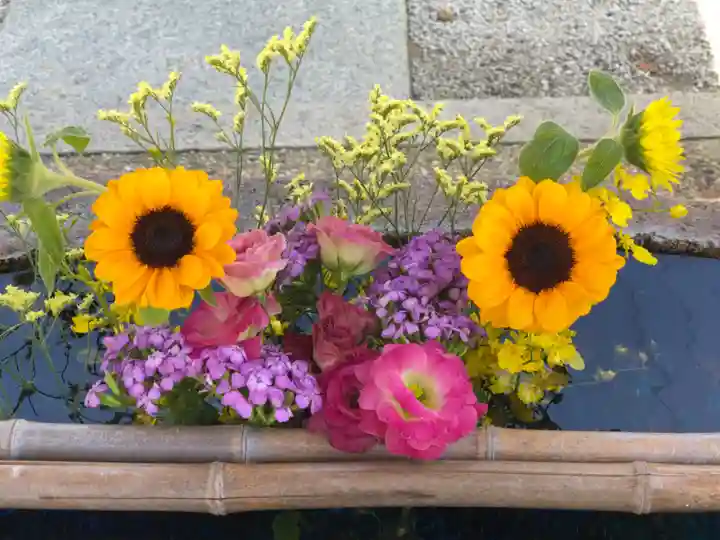 水堂須佐男神社の手水舎