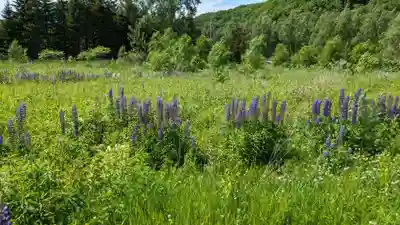 千栄神社(北海道)