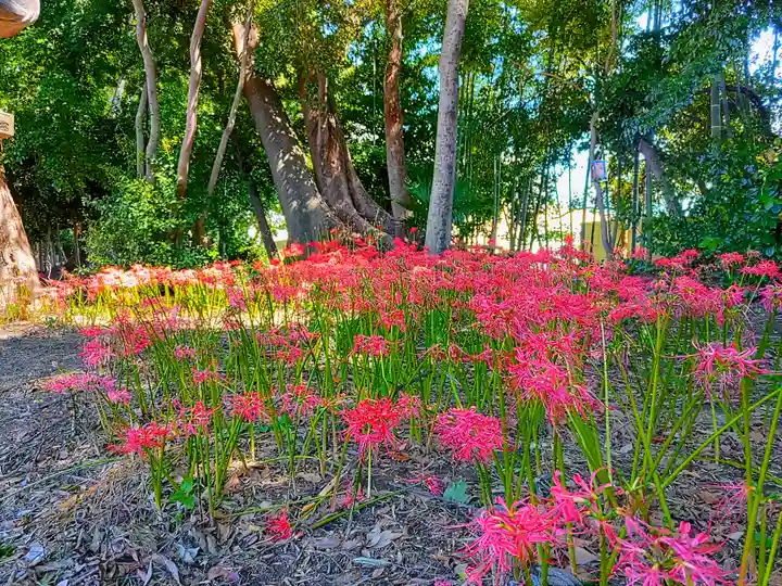 伊福部神社の自然