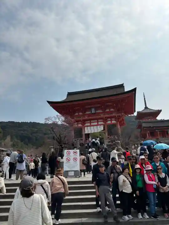 清水寺の{uncategorized: "未分類", other: "その他", undefined: "問題あり", building: "その他建物", grave: "お墓", sacred_gate: "鳥居", guardian: "狛犬", statue: "像", buddha: "仏像", history: "歴史", nature: "自然", garden: "庭園", animal: "動物", pagoda: "塔", temizu: "手水舎", mountain_gate: "山門・神門", sanctuary: "本殿・本堂", subordinate: "末社・摂社", art: "芸術", scenery: "景色", jizo: "地蔵", ema: "絵馬", goshuin: "御朱印", omikuji: "おみくじ", items: "授与品その他", amulet: "お守り", goshuincho: "御朱印帳", eats: "食事", festival: "お祭り", votive_dance: "神楽", shichigosan: "七五三参", wedding: "結婚式", experience: "体験その他", initially: "初詣", around: "周辺", anti_infection: "感染症対策"}