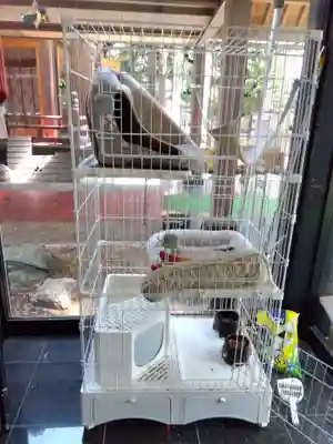 榛名神社(群馬県)