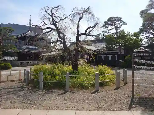 護国寺のその他建物