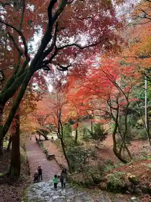 鶏足寺の{uncategorized: "未分類", other: "その他", undefined: "問題あり", building: "その他建物", grave: "お墓", sacred_gate: "鳥居", guardian: "狛犬", statue: "像", buddha: "仏像", history: "歴史", nature: "自然", garden: "庭園", animal: "動物", pagoda: "塔", temizu: "手水舎", mountain_gate: "山門・神門", sanctuary: "本殿・本堂", subordinate: "末社・摂社", art: "芸術", scenery: "景色", jizo: "地蔵", ema: "絵馬", goshuin: "御朱印", omikuji: "おみくじ", items: "授与品その他", amulet: "お守り", goshuincho: "御朱印帳", eats: "食事", festival: "お祭り", votive_dance: "神楽", shichigosan: "七五三参", wedding: "結婚式", experience: "体験その他", initially: "初詣", around: "周辺", anti_infection: "感染症対策"}