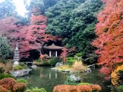 毘沙門堂門跡の{uncategorized: "未分類", other: "その他", undefined: "問題あり", building: "その他建物", grave: "お墓", sacred_gate: "鳥居", guardian: "狛犬", statue: "像", buddha: "仏像", history: "歴史", nature: "自然", garden: "庭園", animal: "動物", pagoda: "塔", temizu: "手水舎", mountain_gate: "山門・神門", sanctuary: "本殿・本堂", subordinate: "末社・摂社", art: "芸術", scenery: "景色", jizo: "地蔵", ema: "絵馬", goshuin: "御朱印", omikuji: "おみくじ", items: "授与品その他", amulet: "お守り", goshuincho: "御朱印帳", eats: "食事", festival: "お祭り", votive_dance: "神楽", shichigosan: "七五三参", wedding: "結婚式", experience: "体験その他", initially: "初詣", around: "周辺", anti_infection: "感染症対策"}