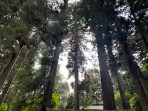 大宮温泉神社(栃木県)(2023年06月04日(日) 17時02分32秒投稿)