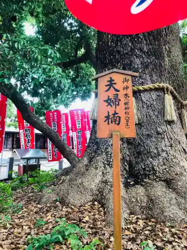 和泉國一之宮　大鳥大社のその他建物