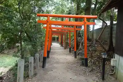 大井神社の鳥居