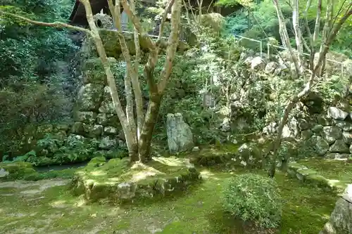 勝持寺（花の寺）の庭園