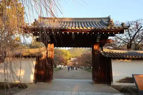 醍醐寺の山門