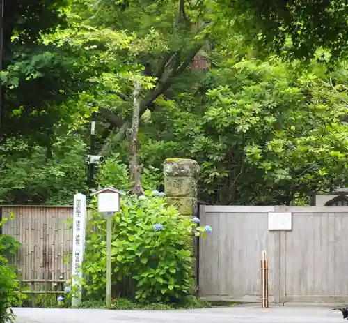 明月院(神奈川県)