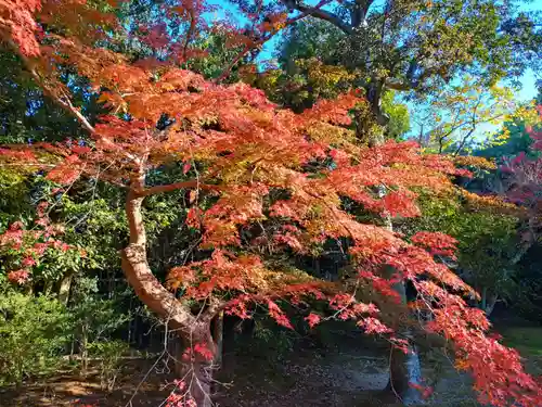 寿量山　速成寺(奈良県)