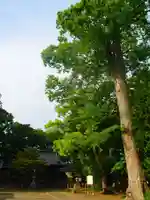 大久保神社の自然