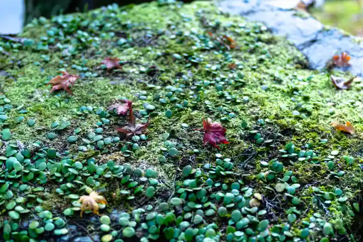 貴船神社奥宮(京都府)