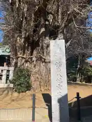 鶴嶺八幡宮の自然