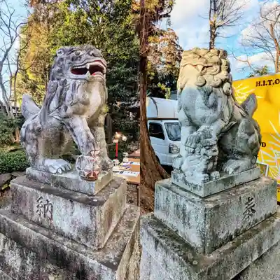 岩槻久伊豆神社の狛犬