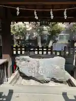 橘樹神社(神奈川県)