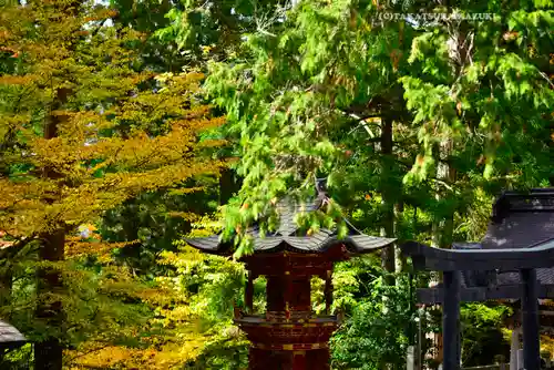三峯神社(埼玉県)